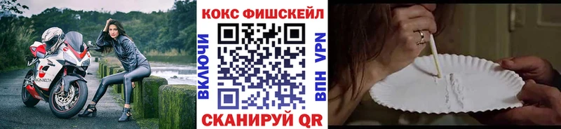 Cocaine FishScale  Снежногорск 