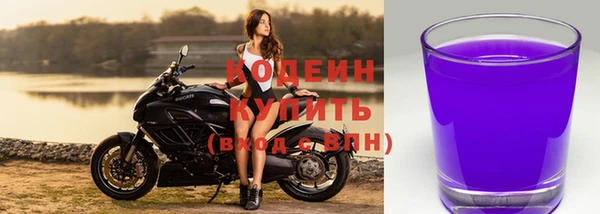 ГАЛЛЮЦИНОГЕННЫЕ ГРИБЫ Алзамай