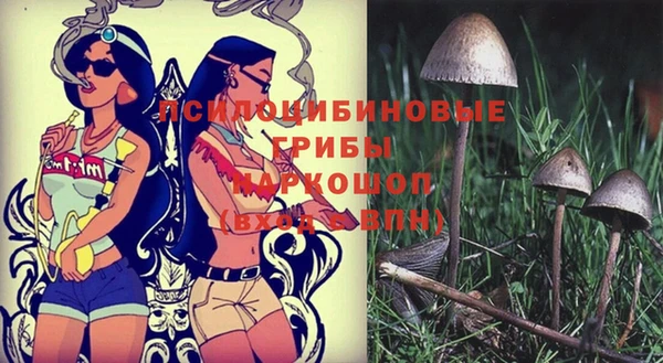 прущие грибы Алексеевка