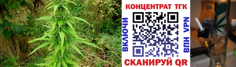 kraken зеркало Снежногорск площадка состав где найти наркотики Дистиллят ТГК жижа