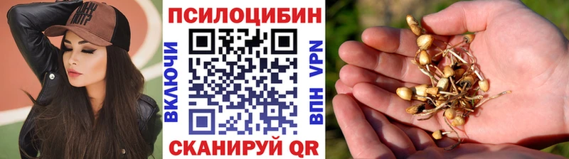 mega вход  Снежногорск  Галлюциногенные грибы ЛСД 